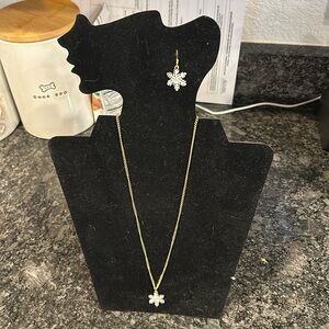 Christmas Snowflake earrings and necklace.